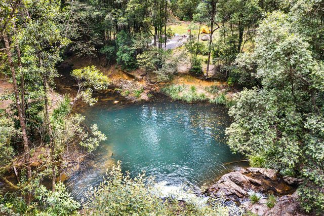Mobong Creek, Wild Cattle Creek State Forest
