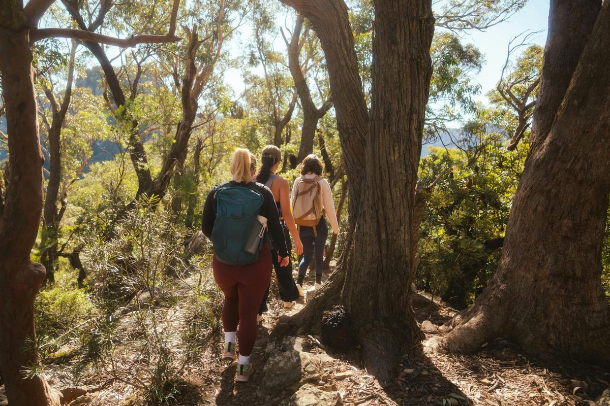 Blue Mountains Explorer Hike