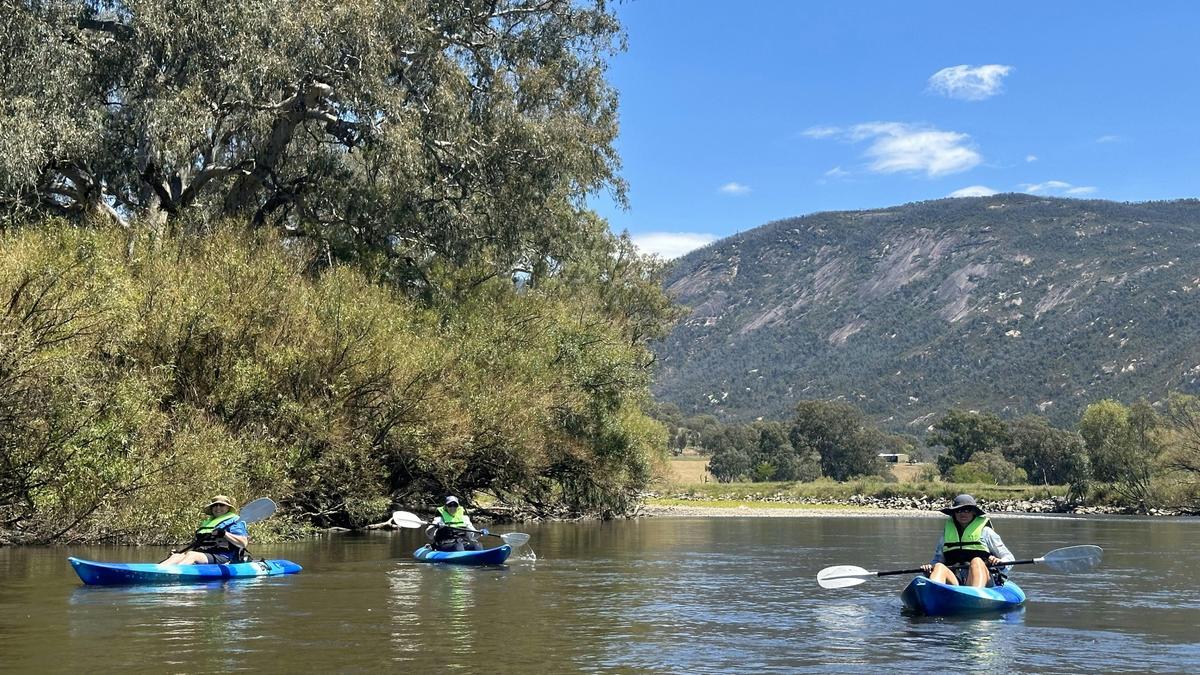 Guided Upper Murray River Adventure - Half Day