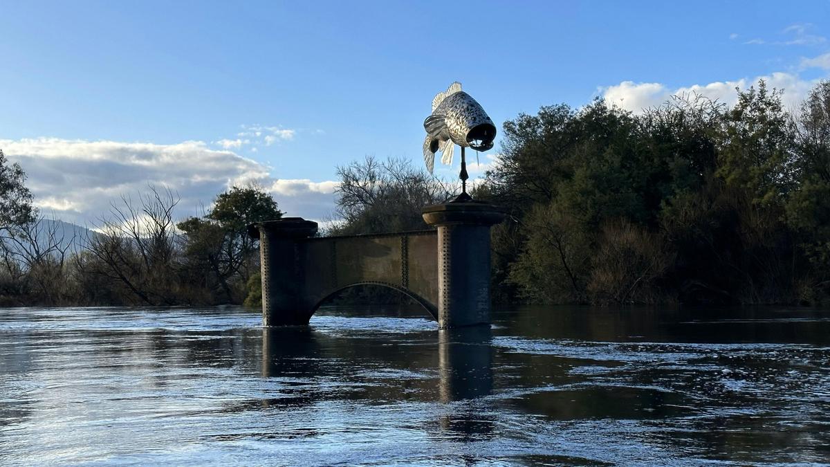 Guided Upper Murray River Adventure - Half Day