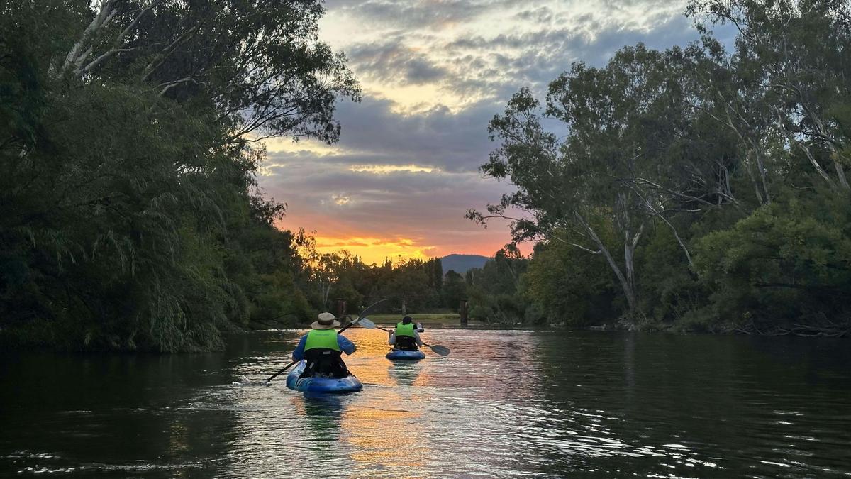 Guided Upper Murray River Adventure - Full Day