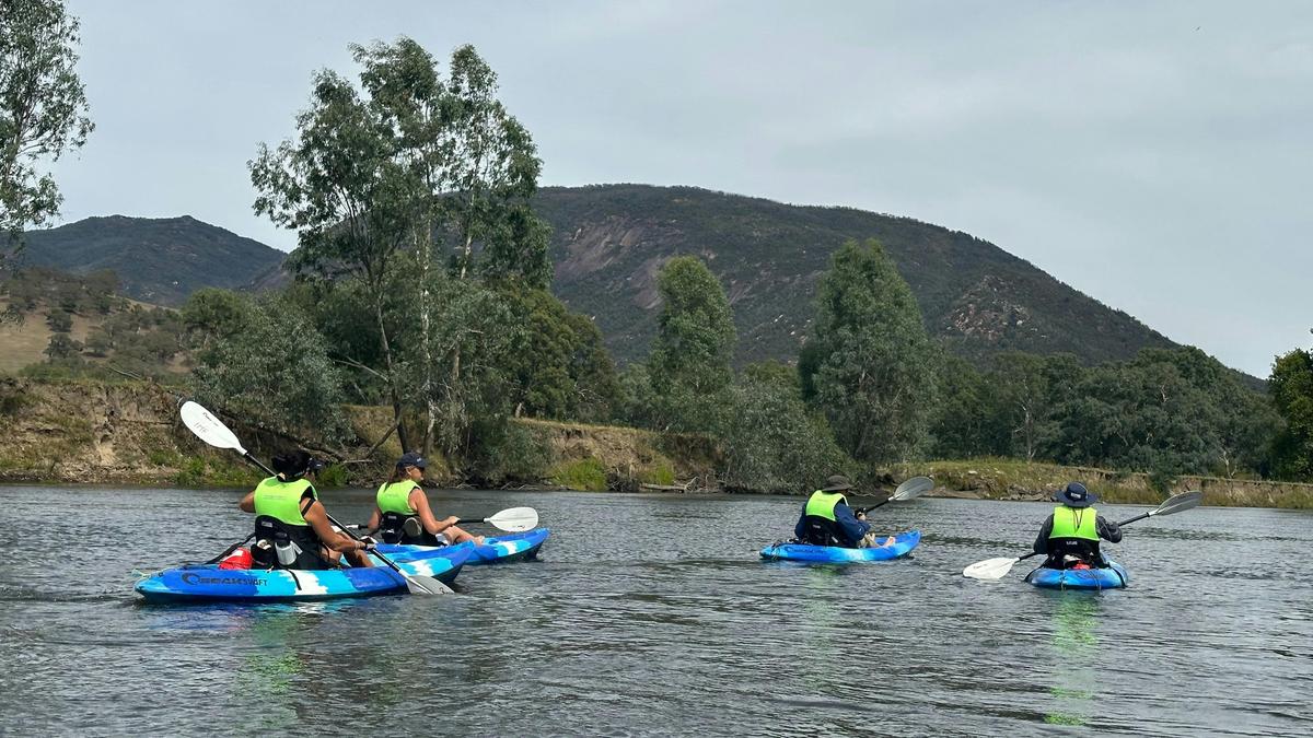 Upper Murray Kayaking - Pine Mountain