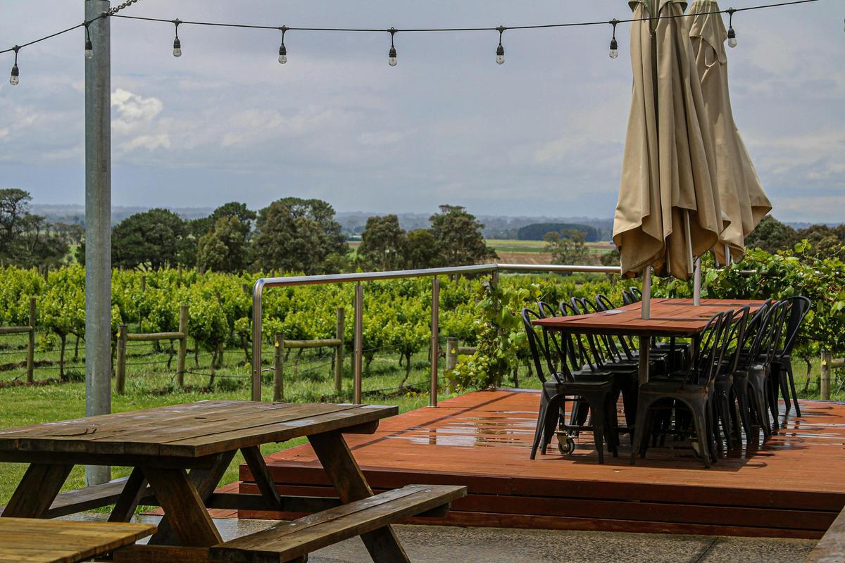 Dining overlooking vinyard