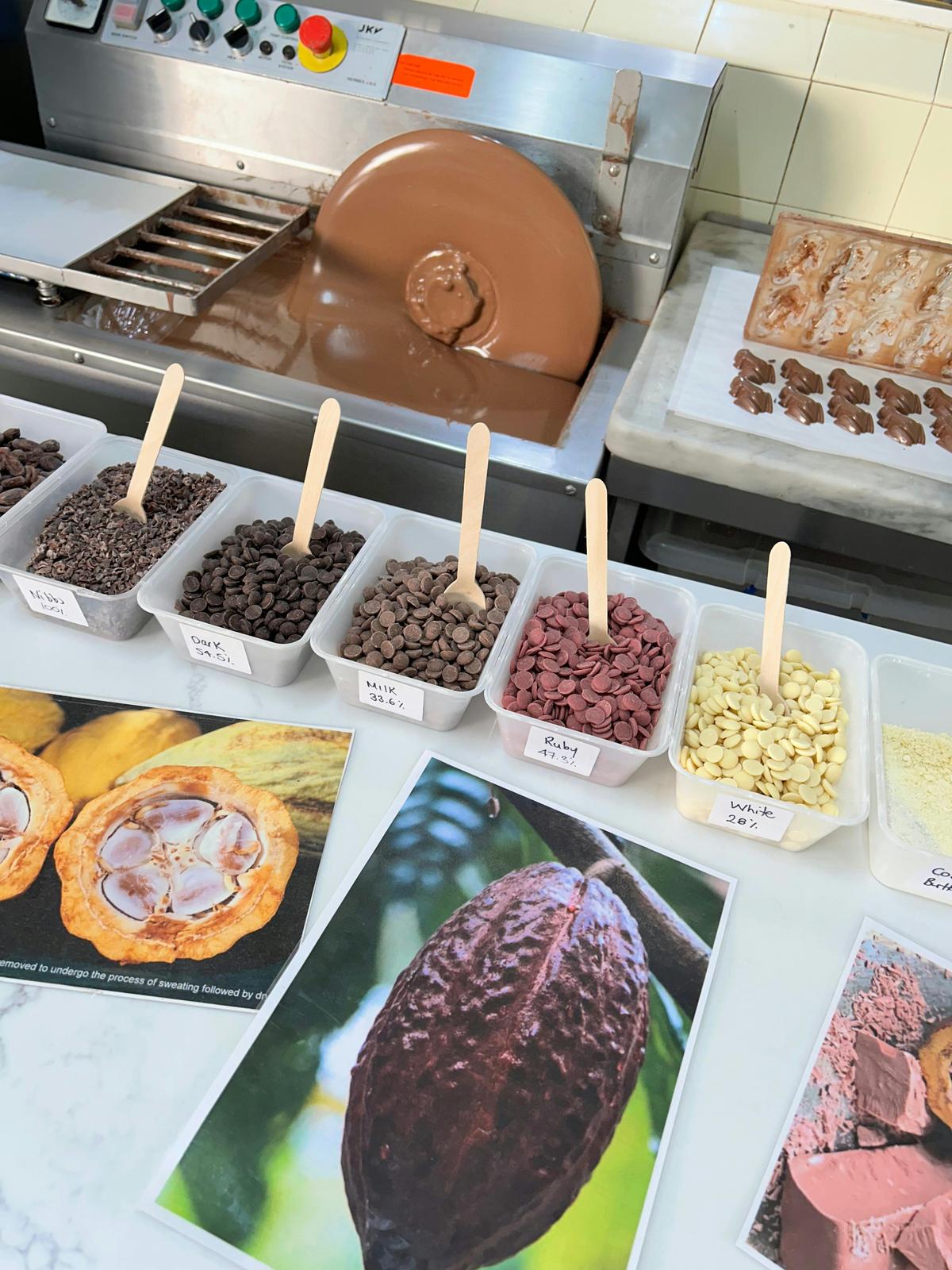 Chocolate Workshops at The Treat Factory Berry