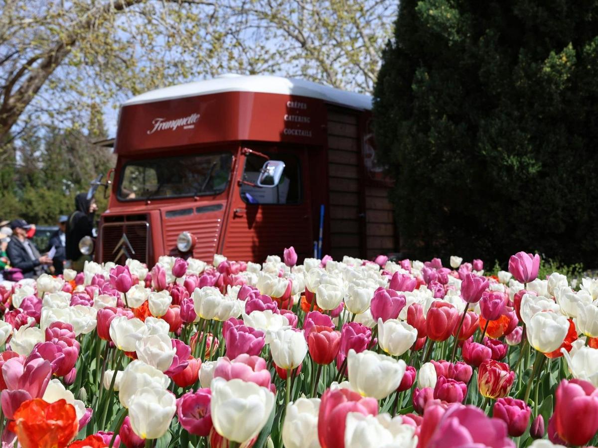 Food trucks + stalls for delicious bites