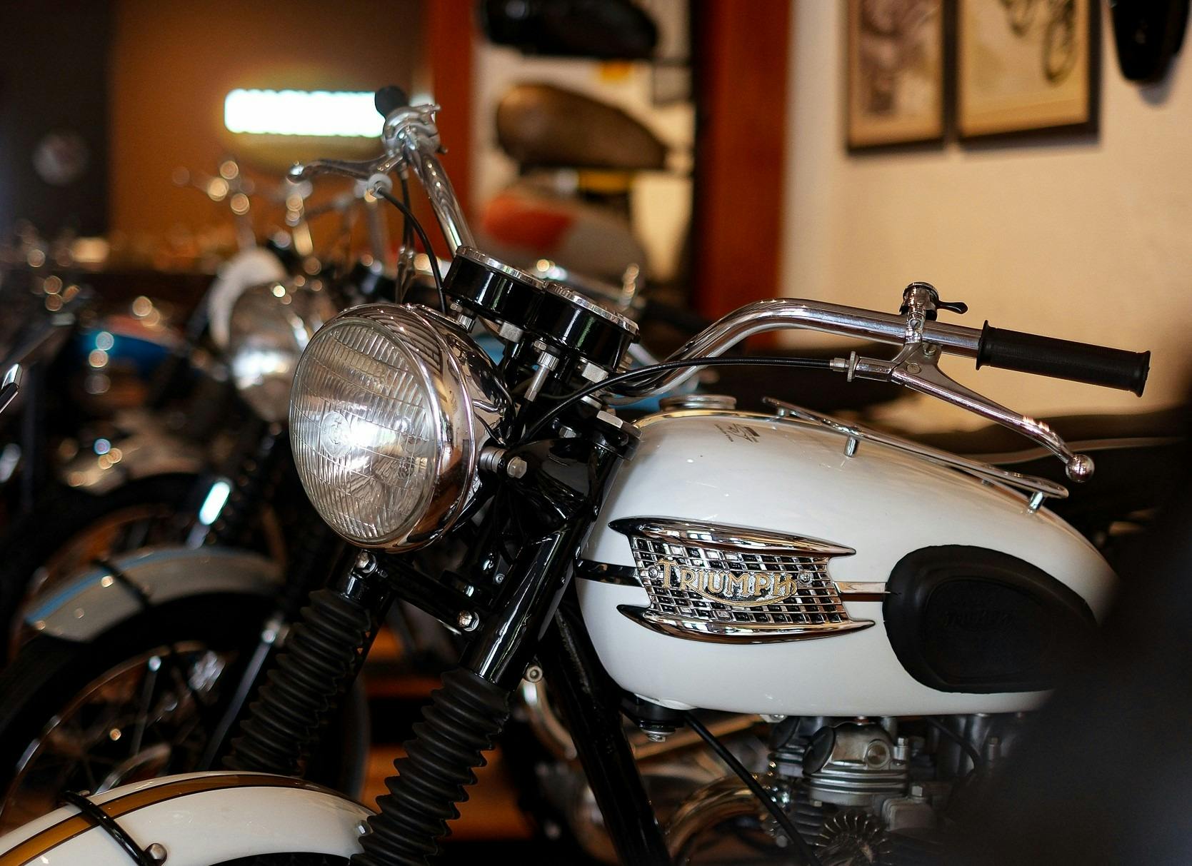 Interior Shot of Macleays Collection