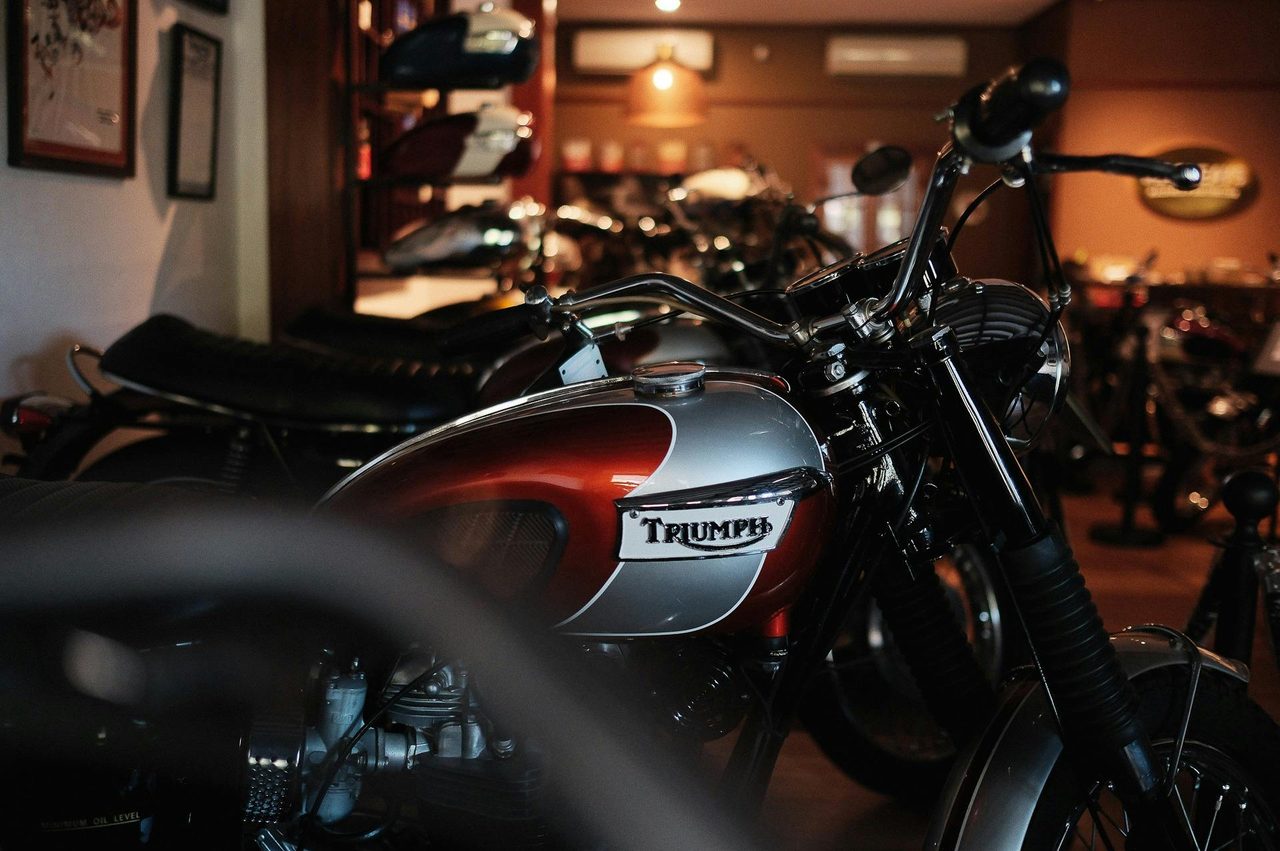 Interior Shot of Macleays Collection