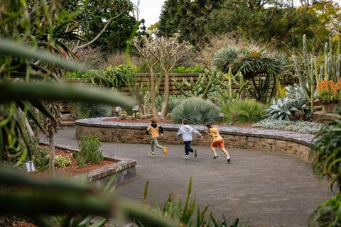 The Succulent Garden