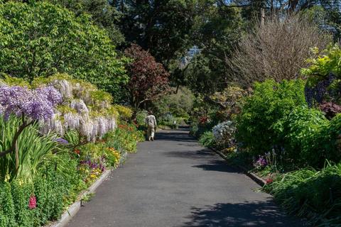 Spring Walk