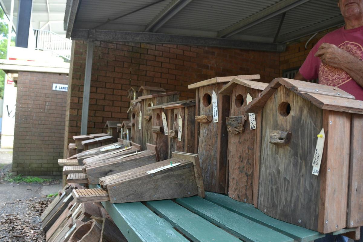 Bellingen Spring Plant Fair