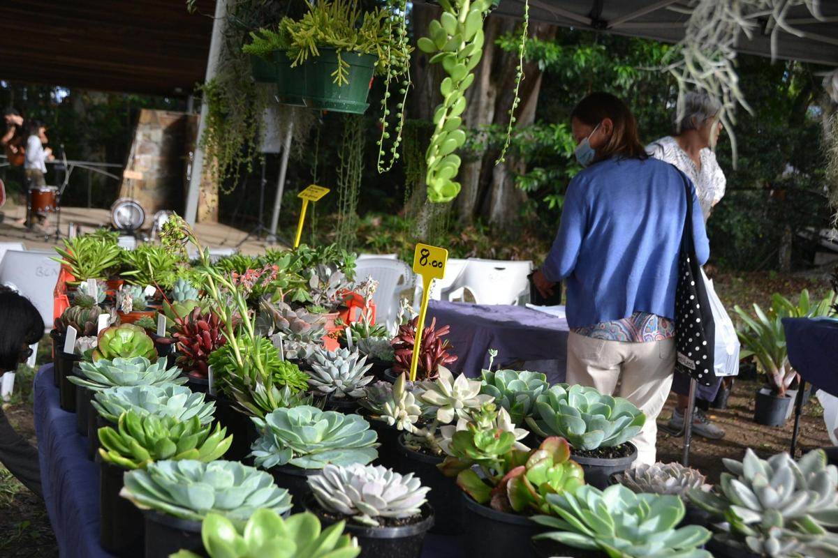 Bellingen Spring Plant Fair