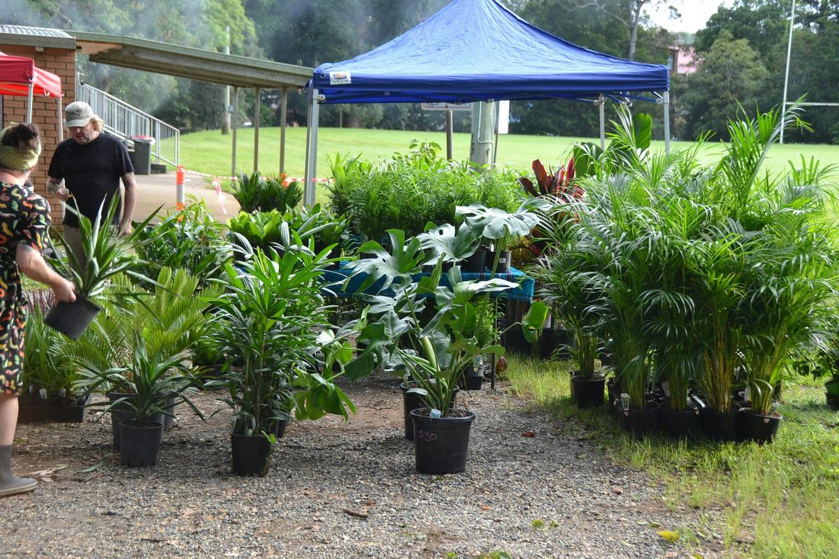 Bellingen Spring Plant Fair