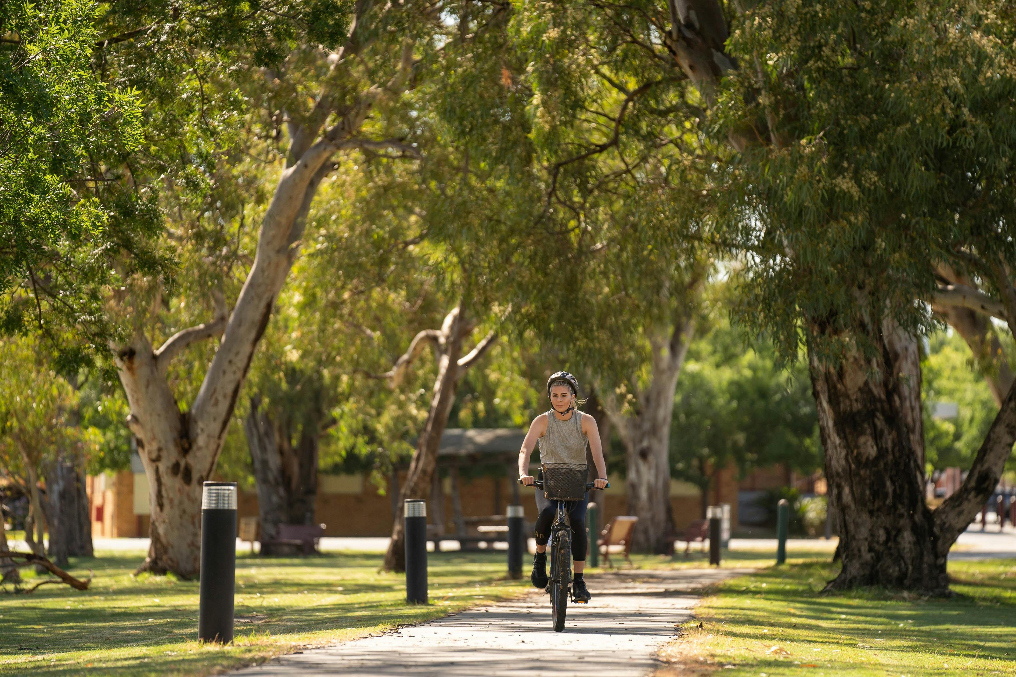 Bike riding around Lake Jerilderie