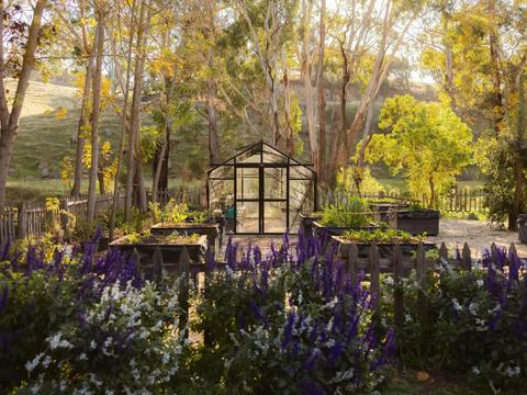 Lavandula Farm