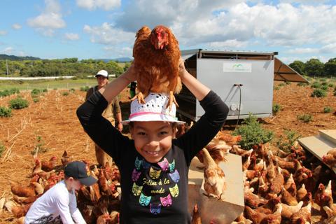 Farm Kids - Byron Bay