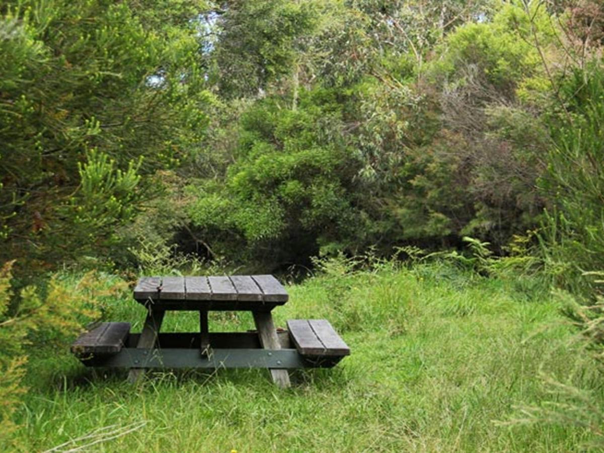 Maddens Creek picnic area. Photo: John Yurasek &copy; OEH