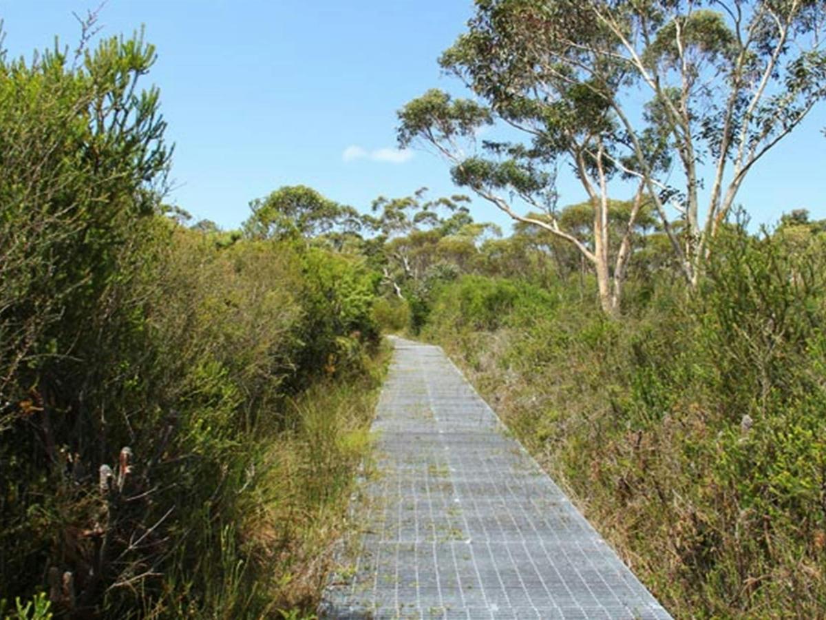Maddens Falls walk, Dharawal National Park. Photo: John Yurasek &copy; OEH