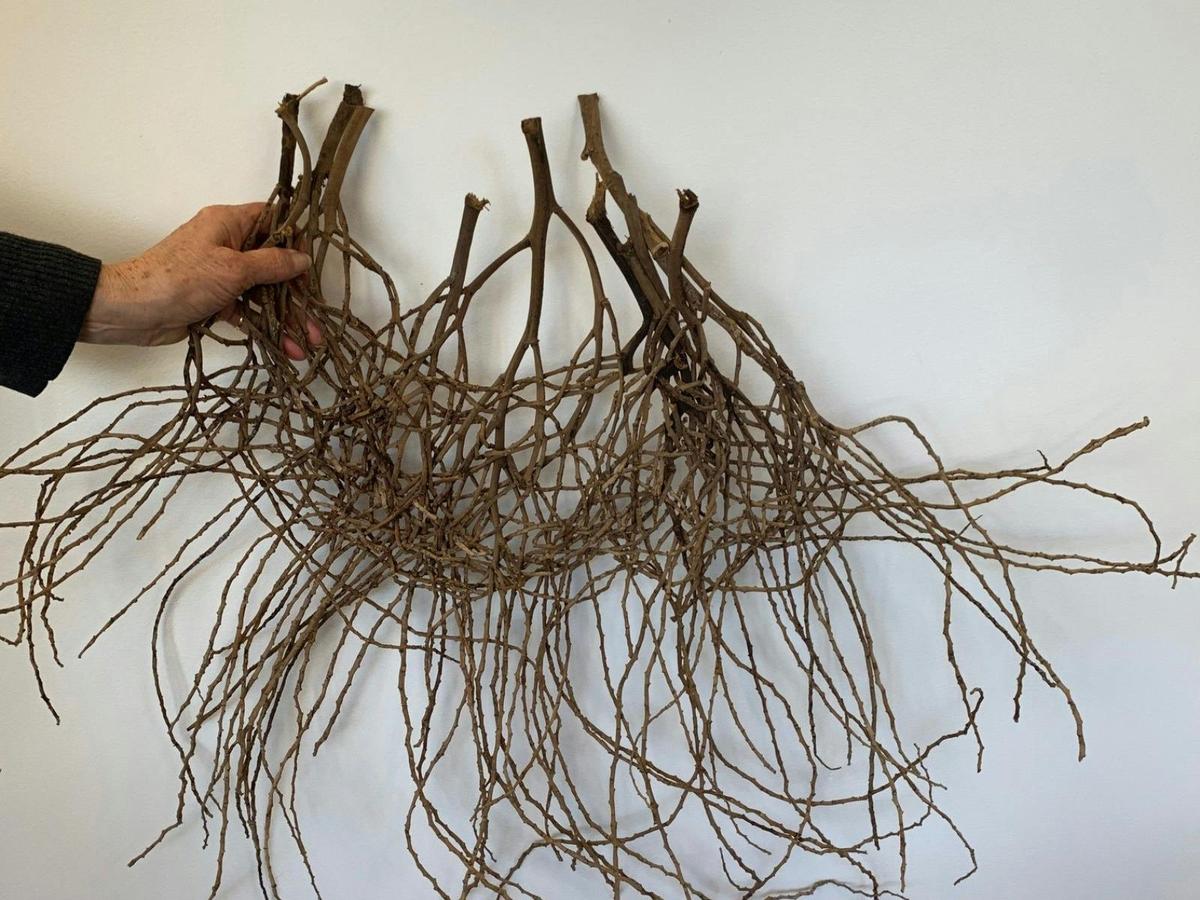 Foraged Woven basket