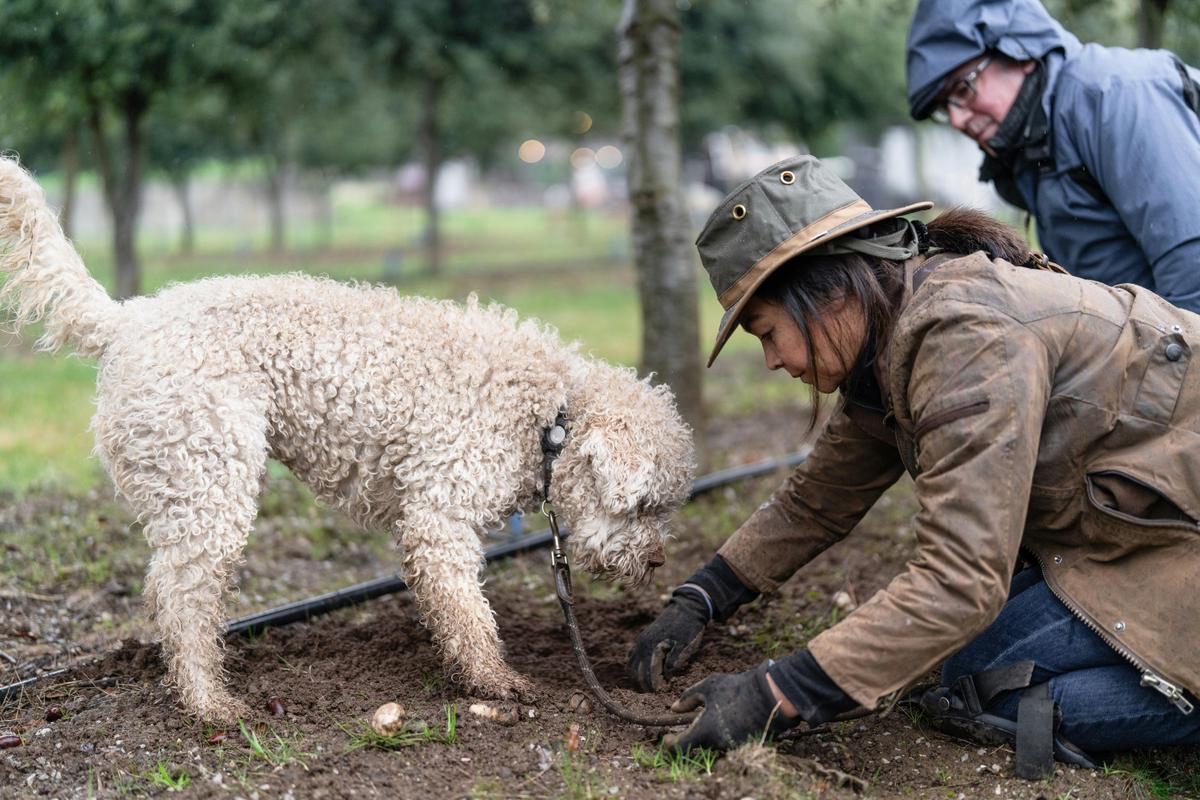 Guided by instinct, unearthed by hand, winters hidden treasures revealed