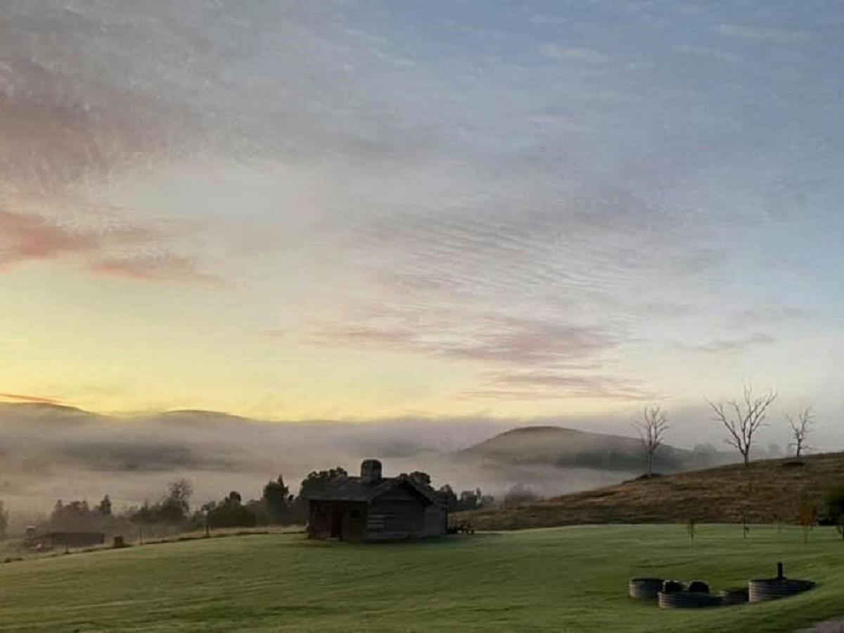 Foggy morning