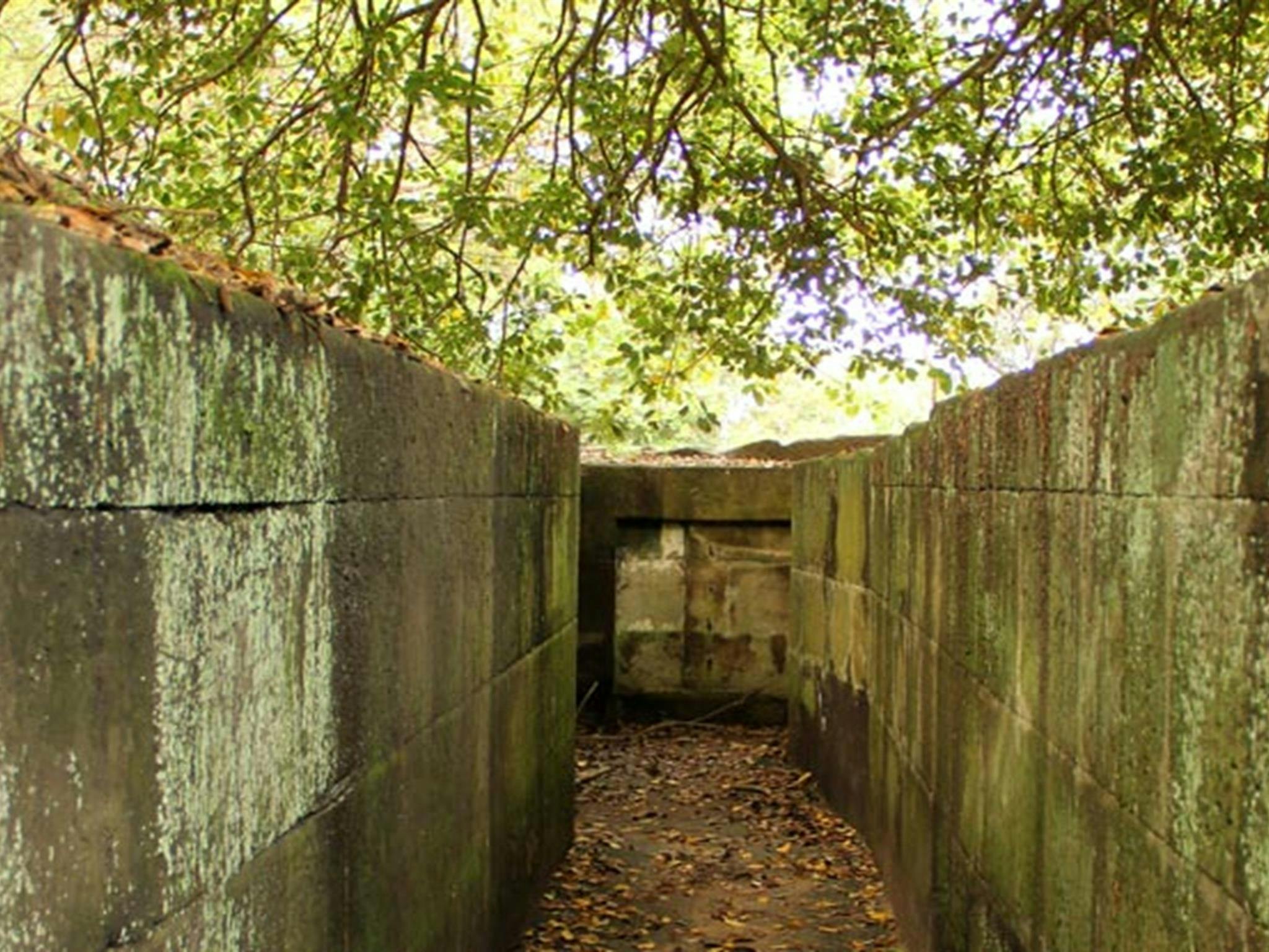 Bradleys Head military relics. Photo: John Yurasek &copy; OEH