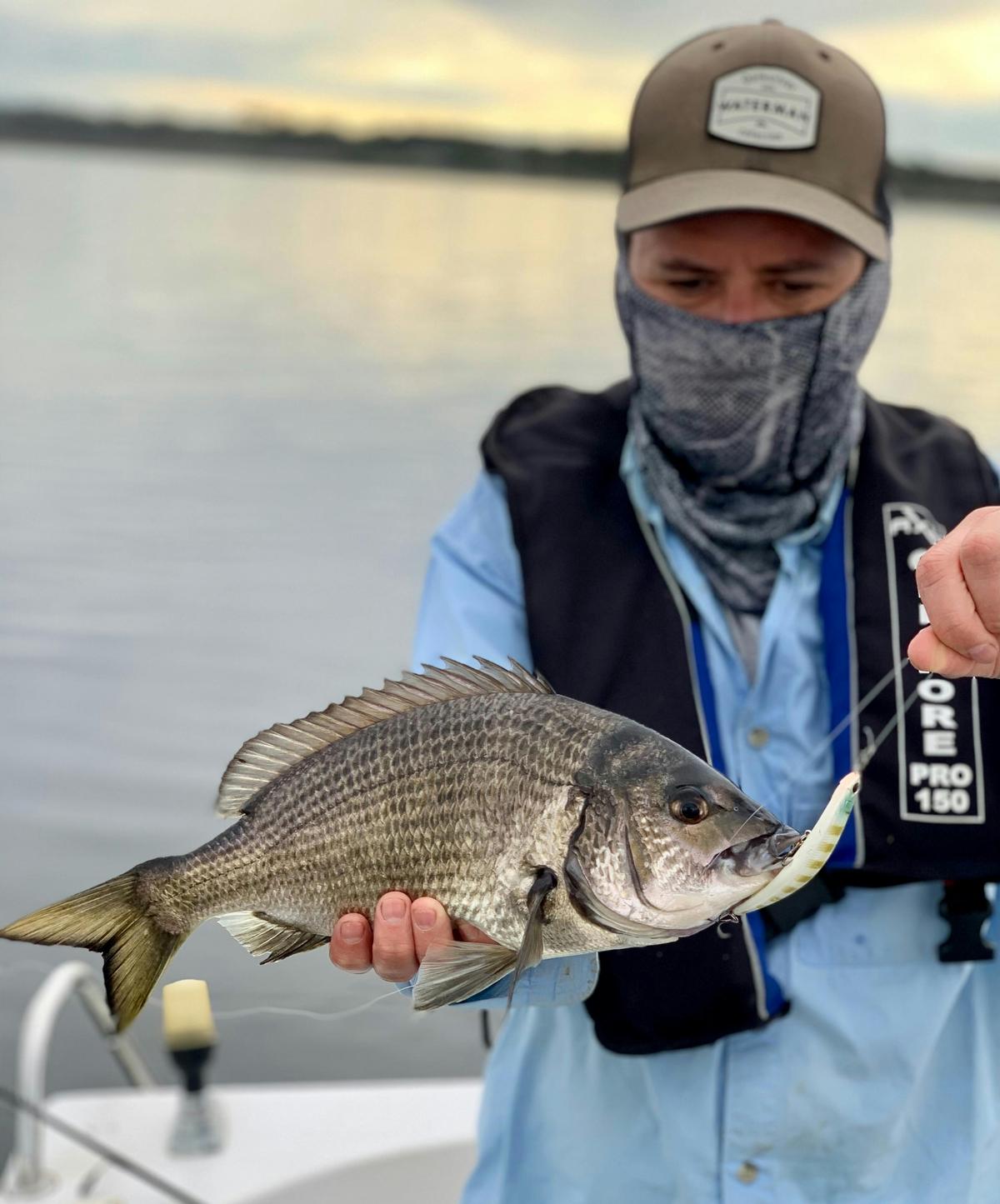 Bemm River Bream