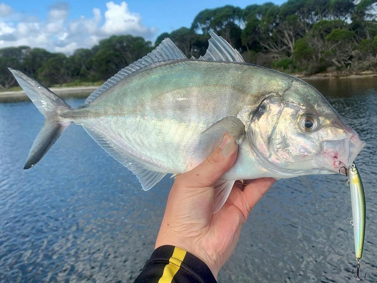 Half Day Fishing Charter