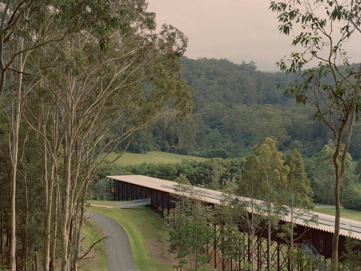 The Bridge