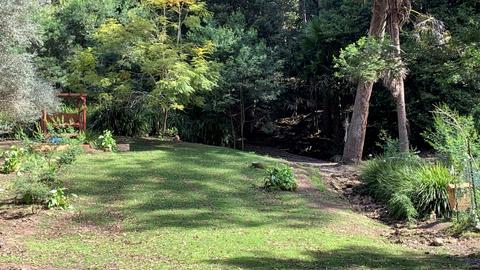 Otford Park nr Royal National Park