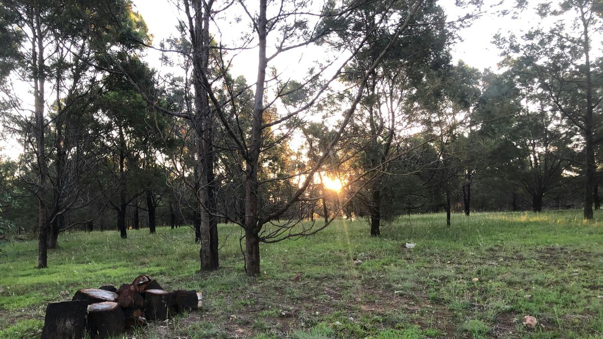Rural Views