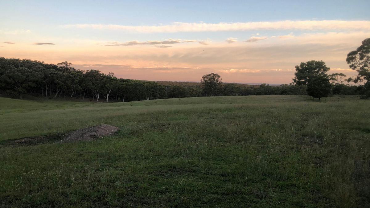 Rural Views