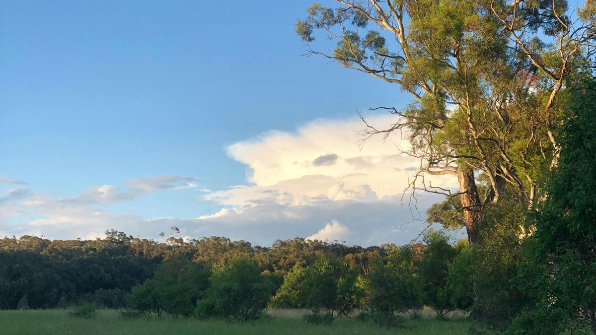 Rural Views