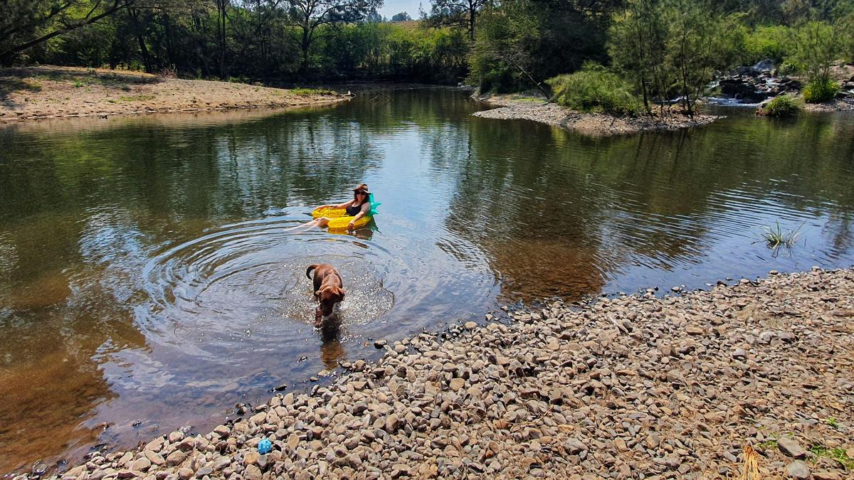 Wild Nymboida Camping Dorrigo
