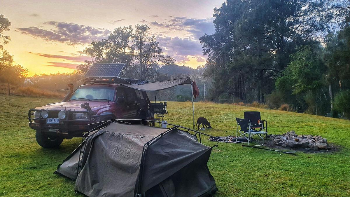Wild Nymboida Camping Dorrigo