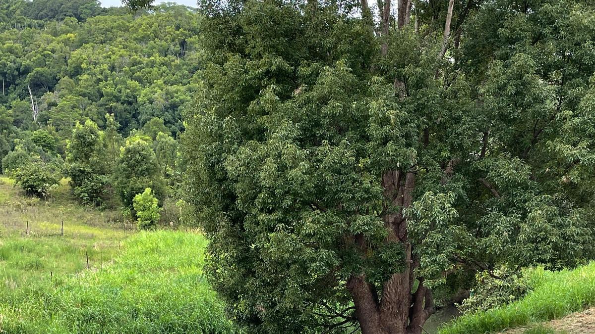 Amani Acres