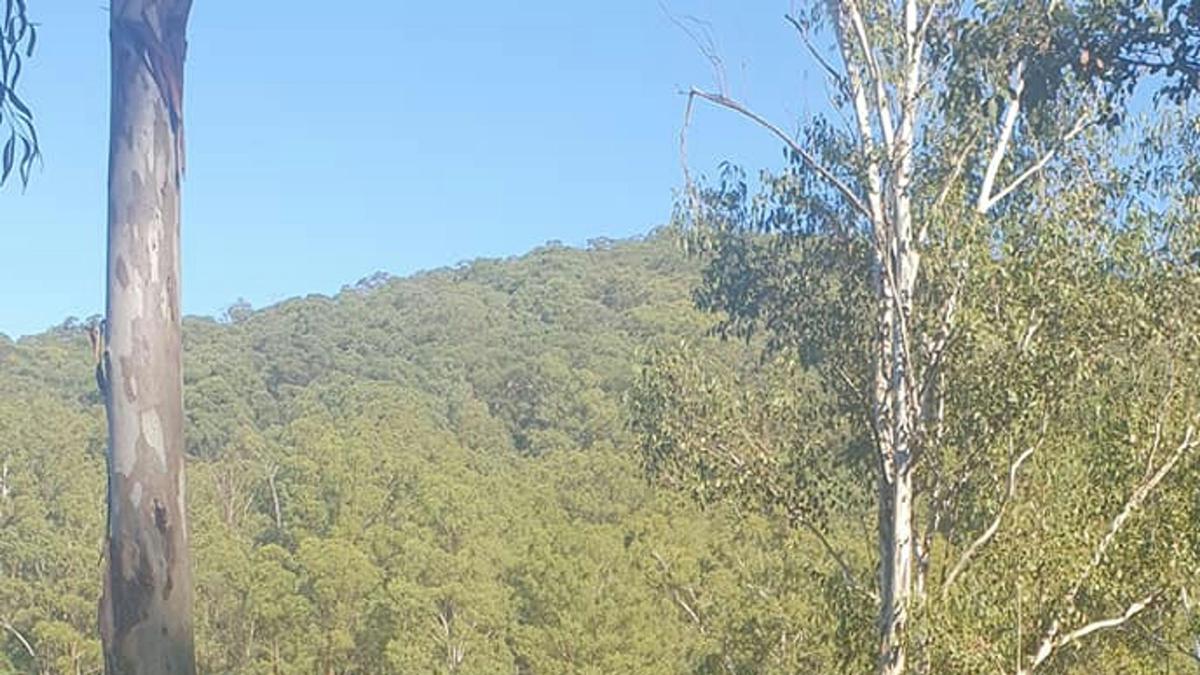 Hugo's Wollombi