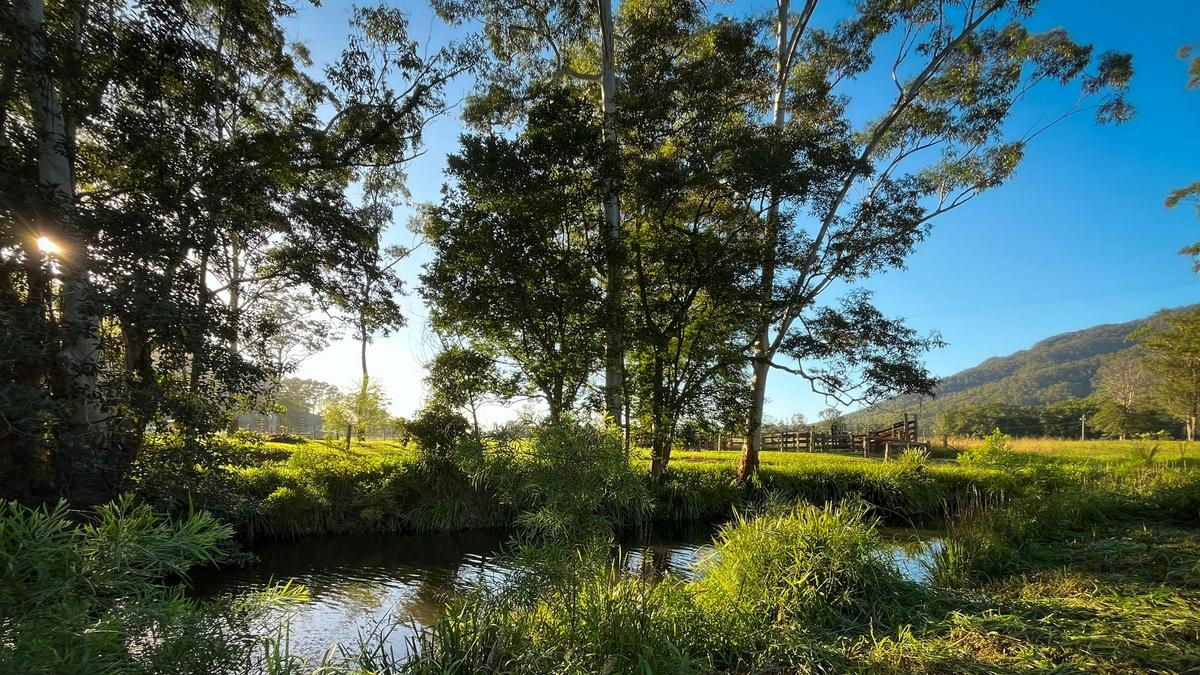 Misty Creek Farm Stay