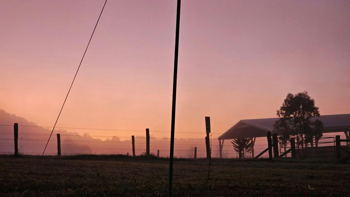 Lovedale Farm Stay  & Horseriding