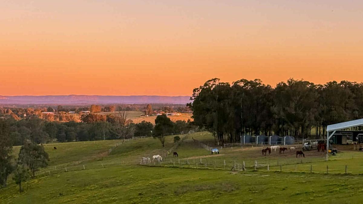 Lovedale Farm Stay  & Horseriding