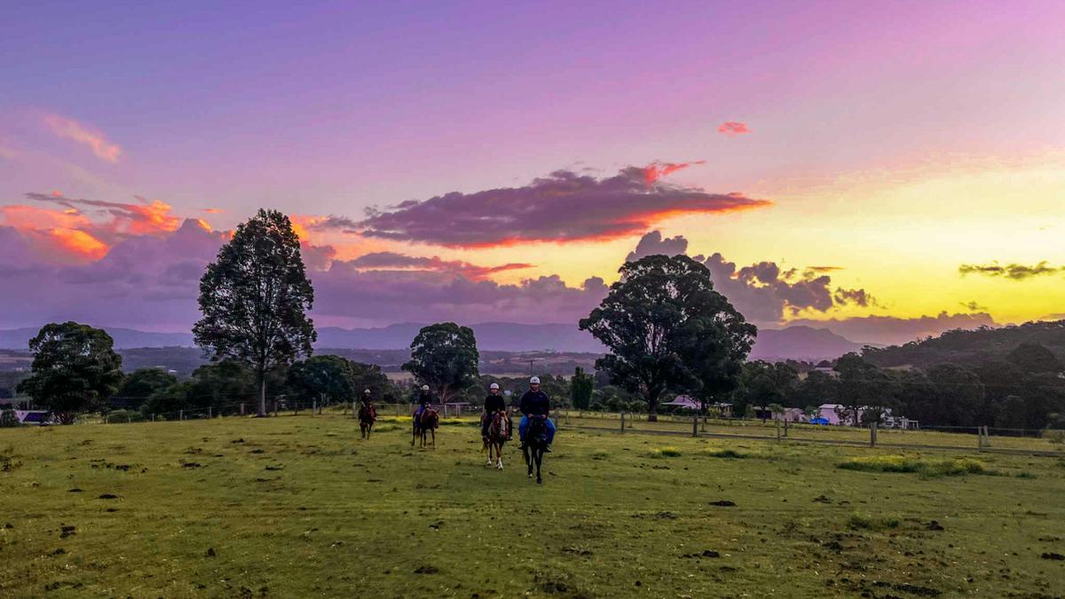 Lovedale Farm Stay  & Horseriding