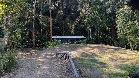 Land By Rainforest Near Lake