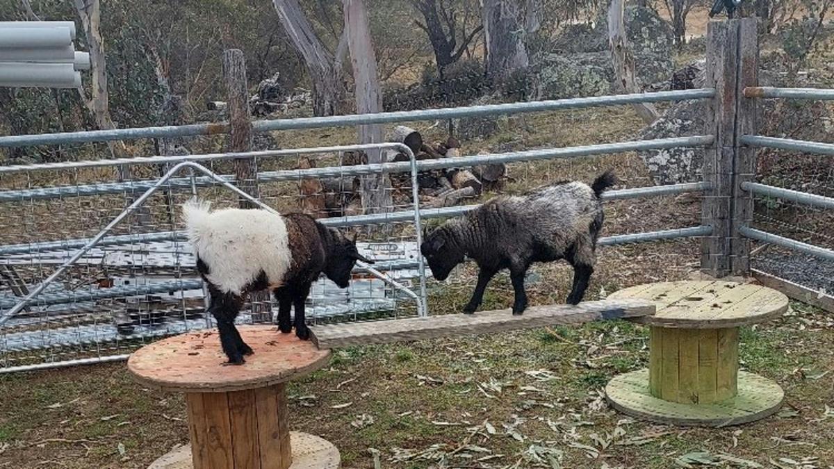 Ironpot Farmstay, Jindabyne