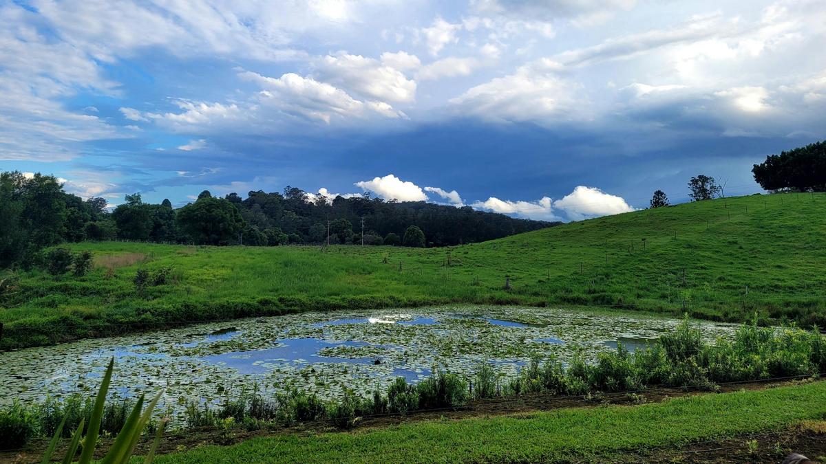 Nambucca Valley Hidden Gem