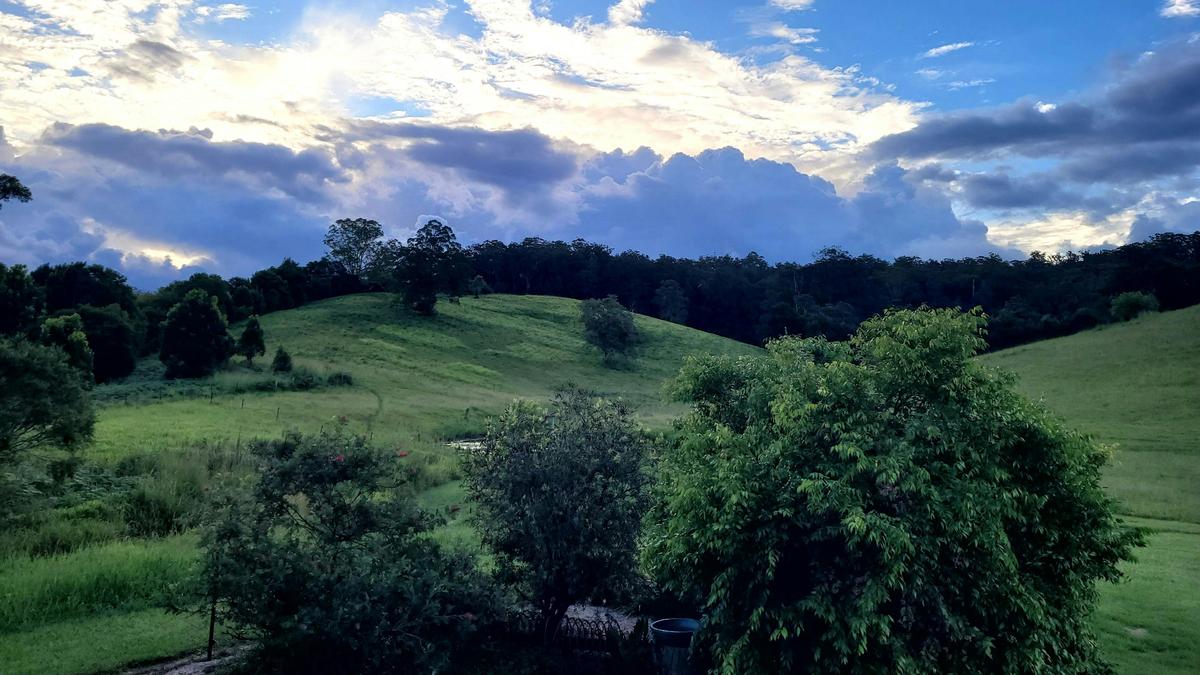 Nambucca Valley Hidden Gem