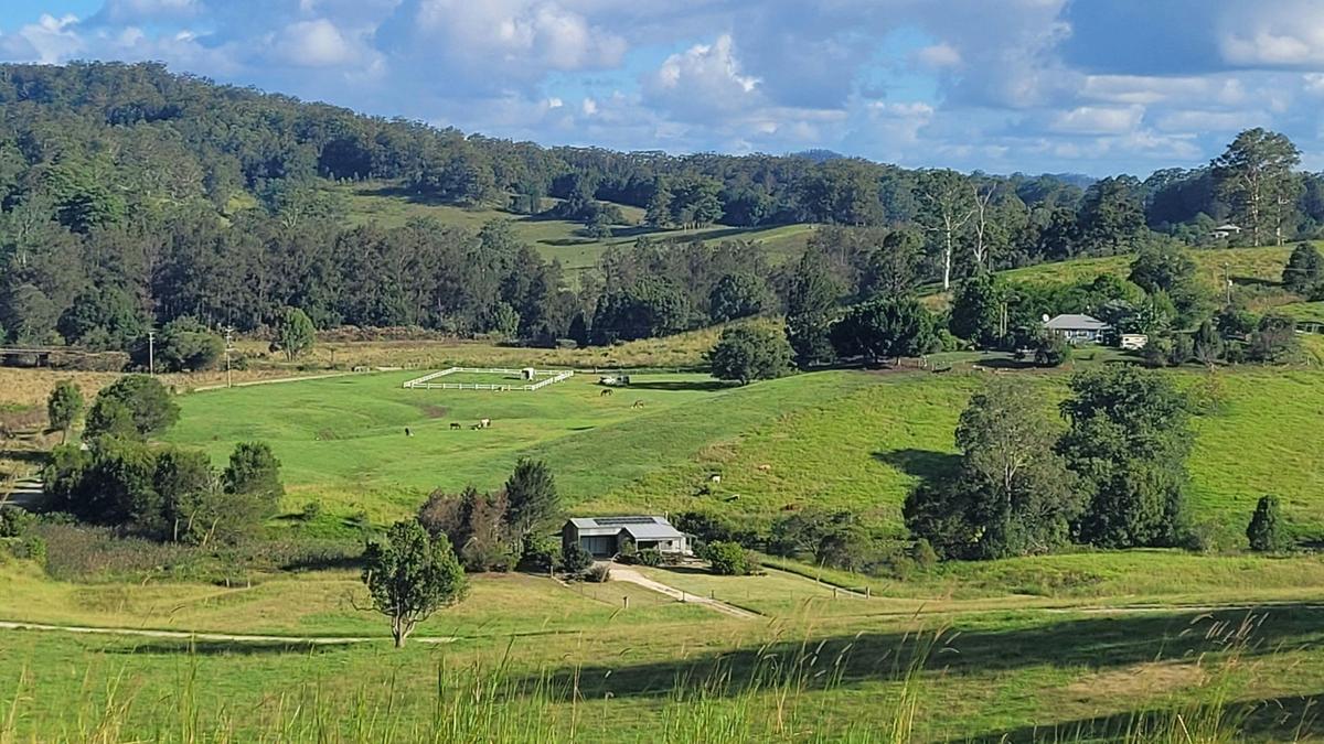 Nambucca Valley Hidden Gem