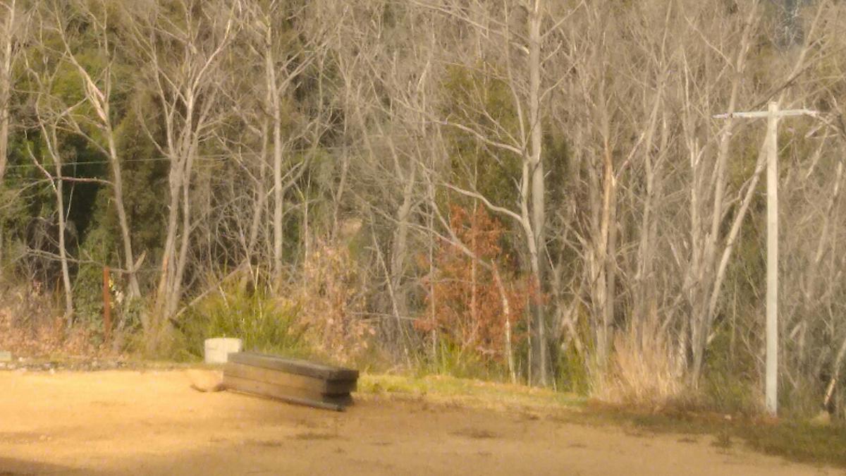 Bermi Bush Block