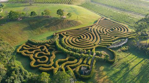 Bago Maze & Wine Mountain View Camp