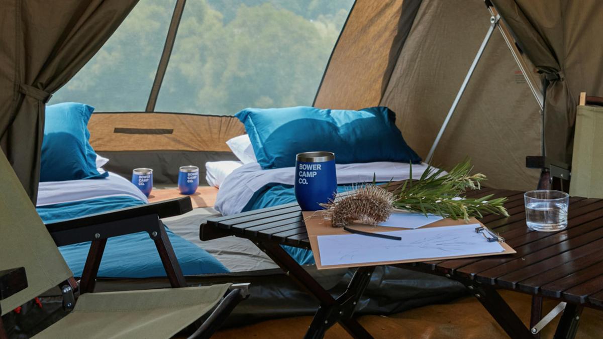 Bower Camp Co. Yuraygir NP