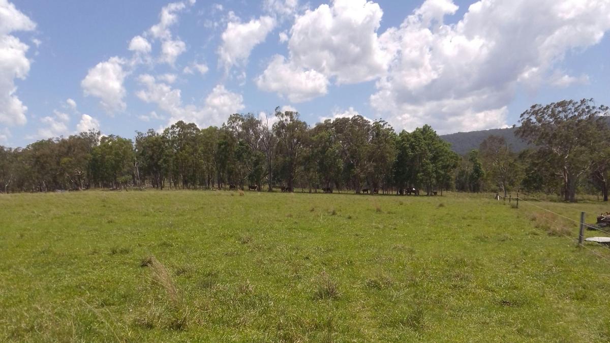 Bungoona