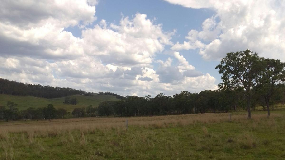 Bungoona